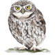 Illustration for article titled 15-year-old prodigy girl draws amazingly well emand/em trains falcons too